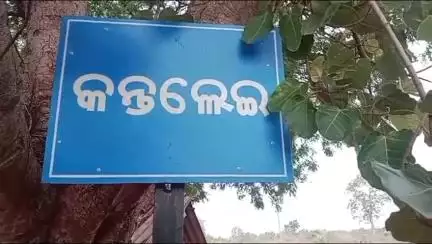 ତେଲକୋଇ: କନ୍ତଲେଇ ଦାଢିଆ ସାହିରେ ଗୋଠଛଡା ଦନ୍ତାହାତୀର ଉତ୍ପାତ