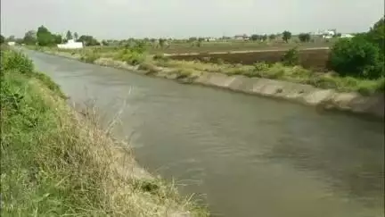 જામકંડોરણા: દુધીવદર ગામ પાસે આવેલા ફોફડ ડેમમાંથી દર જેટલા ગામના ખેડૂતોને સિંચાઈમાં મદદરૂપ થાય તે માટે પાણી છોડવામાં આવ્યું