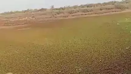 વાલિયા: કમળા માતાજીના તળાવને ઊંડા કરવા સાથે જંગલી વેલ દૂર કરવાની કામગીરી માત્ર કાગળ ઉપર હોવાના આક્ષેપ #jansamasya