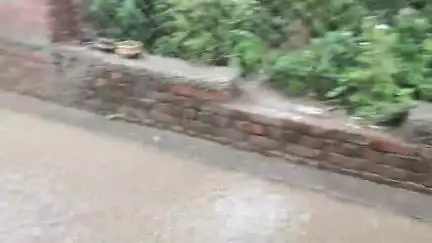 ग्राम पउनगला ,पोस्ट कुआंडांडा तहसील फरीदपुर बरेली। उत्तर प्रदेश। गांव का बुरा हाल बिना नाला के
#योगी सरकार 
#बीजेपी