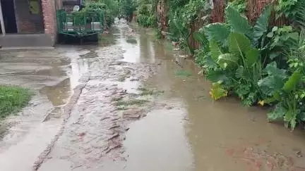 पीलीभीत: चंदिया हजारा में दस मिनट की बारिश ने विकास कार्य की खोल दी पोल, जल भराव से ग्रामीण परेशान #jansamasya