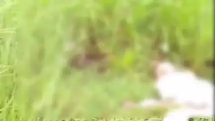ରେଢାଖୋଲ: ମୁଣ୍ଢେର ରେଳ ଲାଇନ୍ କଡ଼ରୁ ବୃଦ୍ଧଙ୍କ ମୃତଦେହ ଉଦ୍ଧାର