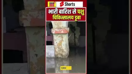 मुरादाबाद : भारी बारिश से पशु चिकित्सालय पानी पानी हुआ