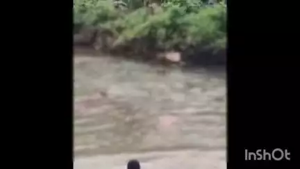 ഏറനാട്: കിഴിശ്ശേരി കുഴിയംപറമ്പ് ഭാഗത്തുള്ള തോട്ടിൽ യുവാവിന്റെ മൃതദേഹം കണ്ടെത്തി
