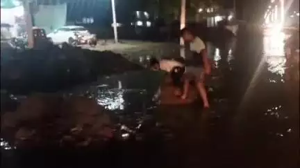 सिरसा: सिरसा रानिया रोड सब्जी मंडी के पास गड्ढे में गिरे गौवंश, गौ रक्षकों ने बाहर निकाला