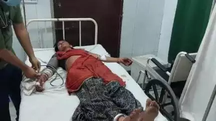 पाली: रानी के नादाणा जोधान में काम कर रही 30 साल की महिला को कोबरा सांप ने काटा, परिजन जिंदा सांप के साथ पाली अस्पताल पहुंचे