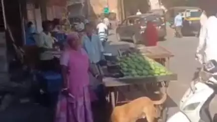 अजमेर: मदार गेट के बाहर ठेला चोरी की वारदात पर अभय कमांड के कैमरे की निगरानी पर उठे सवाल