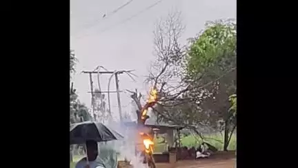 बिलारी: कुंदरकी क्षेत्र के ग्राम मझौली खास में बिजली के तार से चिंगारी निकलने से खड़े पेड़ में लगी आग