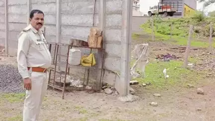 मोहन बड़ोदिया: मोहन बड़ोदिया पुलिस ने मीट की दुकानों का किया निरीक्षण, विद्यालय मार्ग में दुकान न लगाने का आदेश