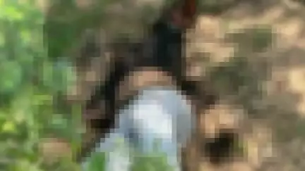 नारनौल: नारनौल क्षेत्र में गर्मी और उमस से घुटन के कारण दो लोगों की मौत
