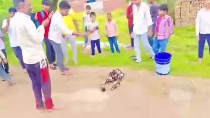नूह: गांव खोड़ बसई में नशा मुक्ति टीम के सामने नशेड़ियों ने तोड़ी शराब की बोतल, वीडियो वायरल