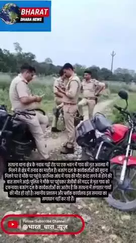 सरधना में आवारा गायों की मौत पर बजरंग दल काः गौशाला होने के बाद भी सड़कों पर घूम रही गायें, प्रशासन से कार्रवाई की मांग