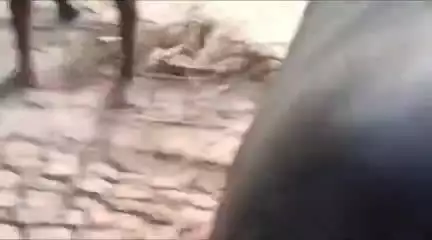 सगड़ी: रौनापार थाना क्षेत्र में हुई मारपीट का वीडियो सोशल मीडिया पर वायरल, मुकदमा दर्ज कर पुलिस कार्रवाई में जुटी