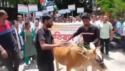 নগাঁও: শ্বহীদ ভৱনৰ সমীপত অসম প্ৰদেশ  কিষান কংগ্ৰেছ কমিটি আৰু নগাঁও জিলা কিষান কংগ্ৰেছ কমিটিৰ উদ্যোগত প্ৰতিবাদী কাৰ্যসূচী
