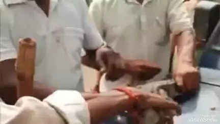 लालगंज: पिपरा गांव के घर में घुसा 3 फुट लंबा मगरमच्छ, वन विभाग की टीम ने सुरक्षित पकड़कर अदवा बैराज में छोड़ा
