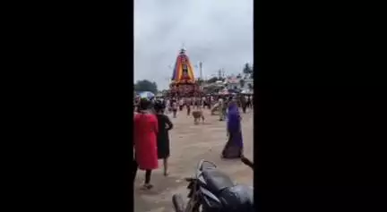 କେନ୍ଦ୍ରାପଡା: ତୁଳସୀକ୍ଷେତ୍ରରେ ଚତୁର୍ଥ ଦିବସରେ ବ୍ରହ୍ମ ତାଳଧ୍ଵଜ ରଥ ଗୁଣ୍ଡିଚା ମନ୍ଦିର ଚକଡା ଲାଗିଲା