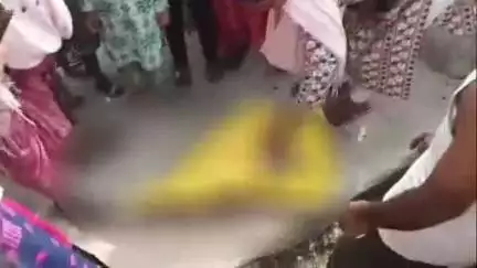 गोंडा: कांशीराम आसरा आवास के पास झाड़ियों में मिला नवजात का शव, कोतवाली नगर पुलिस ने शव को कब्जे में लेकर शुरू की जांच
