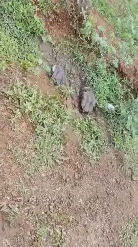 30,6,2025 . accident hua tha premnagar nadi ke paas
