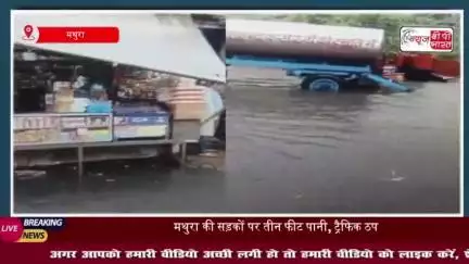 Mathura News: मथुरा में हुई मूसलाधार बारिश....गलियों से लेकर अंडरपासों तक भरा पानी