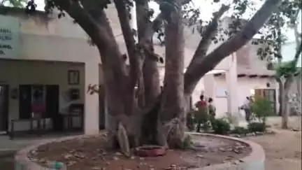 महेंद्रगढ़: महेंद्रगढ़ सदर थाना क्षेत्र के एक गांव से एक लड़की लापता, परिजनों ने पुलिस में दी शिकायत