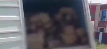 चास: बालीडीह पुलिस ने डाक सेवा की गाड़ी से भारी मात्रा में विदेशी शराब ज़ब्त की, एक व्यक्ति गिरफ्तार