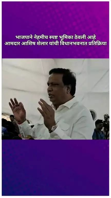 भाजपाने नेहमीच स्पष्ट भूमिका ठेवली आहे, आमदार आशिष शेलार यांची विधानभवनात प्रतिक्रिया