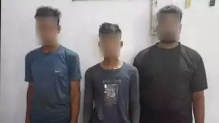 कोडरमा: कोडरमा पुलिस ने बाघीटांड़ चेकपोस्ट पर मवेशी लदे दो पिकअप पकड़े, तीन गिरफ्तार, 14 मवेशी व 4 बछड़े बरामद