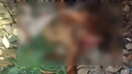 तिलहर: बंथरा गांव के पास ट्रेन से कटकर एक अज्ञात व्यक्ति की दर्दनाक मौत, पुलिस शिनाख्त में जुटी