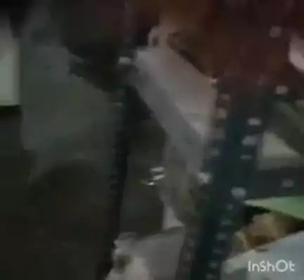 उरई: उरई में बारिश के बाद जिला प्रशासन की व्यवस्थाओं की खुली पोल, आबकारी विभाग बना तालाब, कर्मचारी ने कागजों को पानी से बचाया