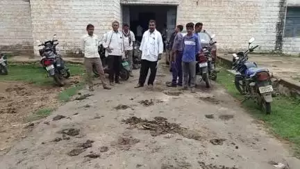 मझौली: मड़वास तहसील में गंदगी से परेशान अधिवक्ताओं ने लगाई गुहार, तहसील परिसर में साफ-सफाई का अभाव