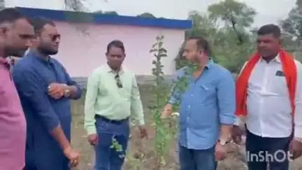 बेमेतरा: ग्राम पंचायत कंतेली में विधायक दीपेश साहू ने 'मां के नाम' अभियान के अंतर्गत अमरूद के पौधे का किया रोपण