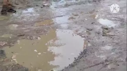 थरथरी: थरथरी प्रखंड में चंडी मार्ग पर गहरे गड्ढे, थरथरी बाज़ार तक सड़क बनी दुर्घटना का कारण #jansamasya