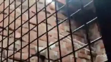 छिबरामऊ: हथीन में चोरों ने एक देसी शराब ठेके को बनाया निशाना, ₹7500 की नगदी और 47 क्वार्टर किए पार, दी तहरीर