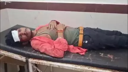 बड़वारा: ग्राम धनवारा के पास तेज रफ्तार बाइक गाय से टकराई, 2 युवक घायल, बड़वारा अस्पताल में भर्ती