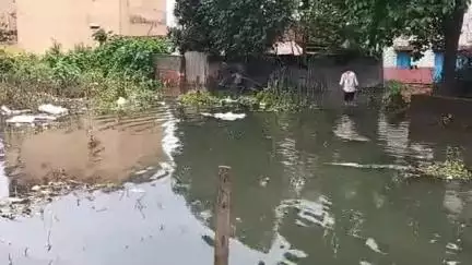 आदित्यपुर गम्हरिया: प्रगति नगर और साईं नगर में रहने वाले लोगों का घर बारिश के बाद हुआ जल मग्न घर छोड़कर सड़क पर रहने को हुए मजबूर#jansamasya