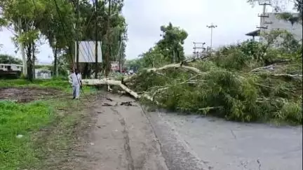 सहारनपुर: दिल्ली रोड स्थित न्यू आवास विकास शाकुम्भरी विहार कॉलोनी के निकट हाईवे पर टूटकर गिरा पेड़, बिजली के तार भी टूटे