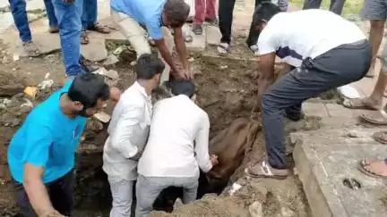 નડિયાદ: GEB ની ગંભીર બેદરકારી, પશ્ચિમ વિસ્તારમાં ગાય ખાડામાં ખાબકી #Jansamasya