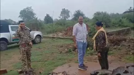 तुमसर: सीतासावंगी येथे बिबट्याचा धुमाकूळ, गोठ्यात शिरून ५ बकऱ्यांची केली शिकार