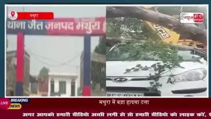 मथुरा में बड़ा हादसा टला! चलती कार पर गिरा पेड़, परिवार बाल-बाल बचा, बच्चा घायल
#मथुरा #हादसा #टला #कार