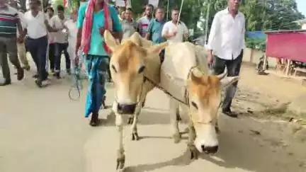 মানকাচৰ: গীৰ গাই কেলেংকাৰীক লৈ হাটশিঙিমাৰীত জিলা কংগ্ৰেছৰ  উদ্যোগত তীব্ৰ প্ৰতিবাদ