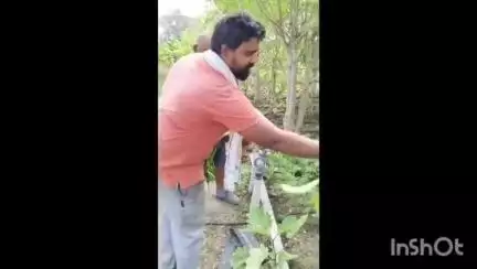 లింగంగుంట్ల వద్ద వ్యవసాయ క్షేత్రాన్ని పరిశీలించిన సినీ నటుడు అజయ్ ఘోష్