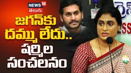 YS Sharmila Sensational Comments YS Jagan | జగన్‌కు దమ్ము లేదు.. షర్మిల సంచలనం | #shorts | News18