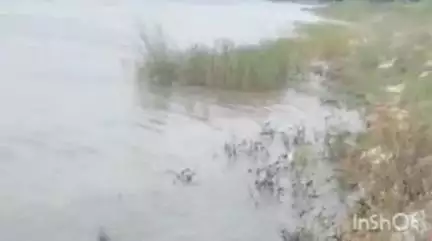 मोहनपुर: मोहनपुर प्रखंड से गुजरने वाली गंगा नदी के जलस्तर में लगातार वृद्धि जारी