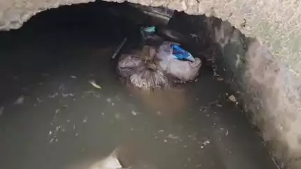 थानेसर: बरसाती पानी की निकासी के लिए नगर परिषद ने नालों की सफाई के टेंडर किए जारी, हकीकत कुछ और