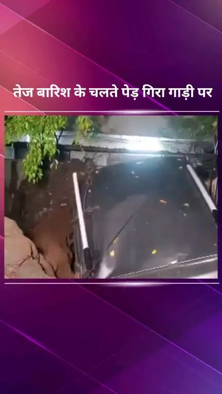 सिविल लाइन्स: शेख सराय फेज 2, पॉकेट ए में पेड़ गिरने से एक गाड़ी हुई क्षतिग्रस्त