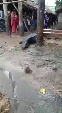 अमृतपुर: राई गांव में आकाशी बिजली गिरने से भैंस की हुई मौत, सूचना पर लेखपाल पहुंचे