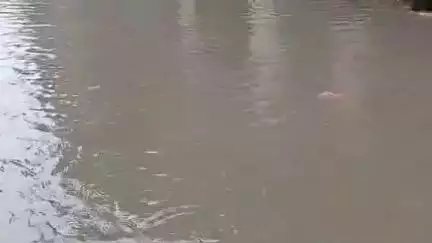 मुरादाबाद: बारिश के बाद मियां कॉलोनी वार्ड 69 में हुआ जलभराव, लोग परेशान