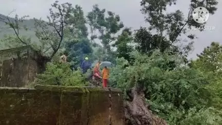 ଧର୍ମଗଡ: ପାତ୍ରବସା ବୁଢି ଅଂଚଳପଡାର ବୃଦ୍ଧାଙ୍କ ଘର ଉପରେ ଉପୁଡି ପଡିଲା ବିରାଟକାୟ ତେନ୍ତୁଳି ଗଛ ଅଳ୍ପକେ ବର୍ତିଲେ ବୃଦ୍ଧା