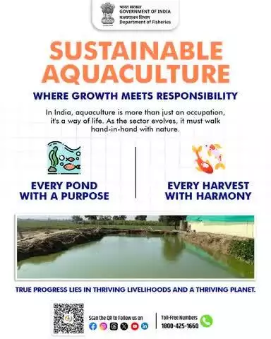 Sustainable Aquaculture isn’t just about production it’s about preserving harmony between people and planet.
Every pond nurtures livelihoods. Every harvest respects nature.