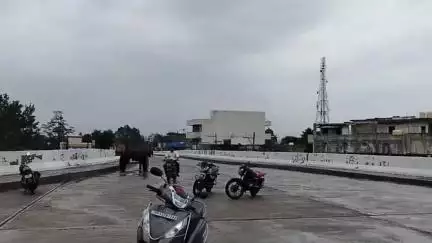 बालाघाट: कोसमी-बैहर बायपास पर बने रेलवे ओवरब्रिज का हुआ शुभारंभ, नगर की बहुप्रतीक्षित मांग हुई पूरी